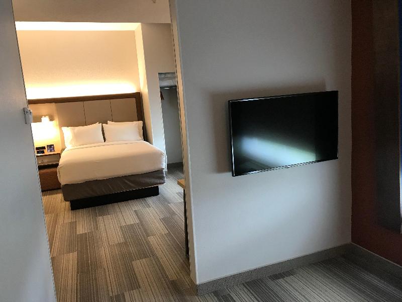 Holiday Inn Express and Suites Orlando South Daven image