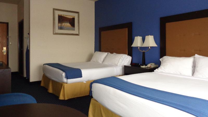 Holiday Inn Express and Suites New Buffalo, MI photo 21