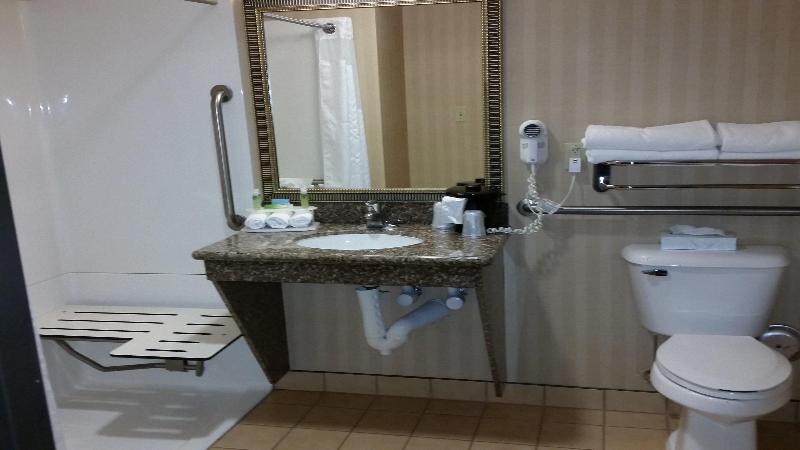 Holiday Inn Express and Suites New Buffalo, MI photo 20