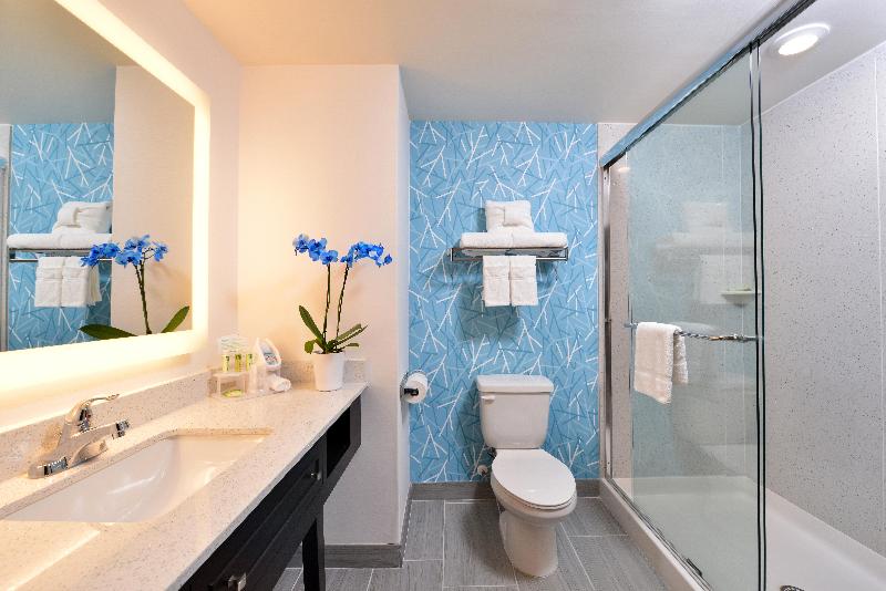 Holiday Inn Express & Suites West Ocean City IHG photo 19