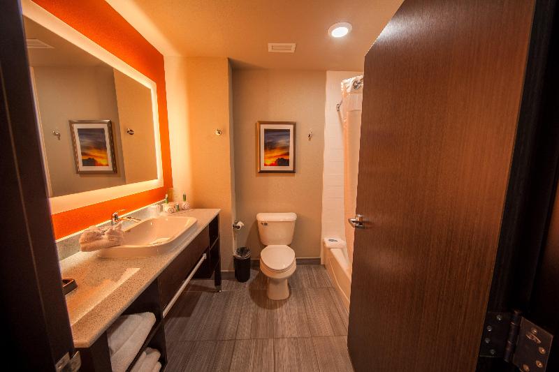 Holiday Inn Express and Suites Oklahoma City South photo 20