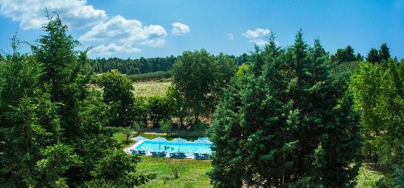 Sani Woods 4 * - pic #14