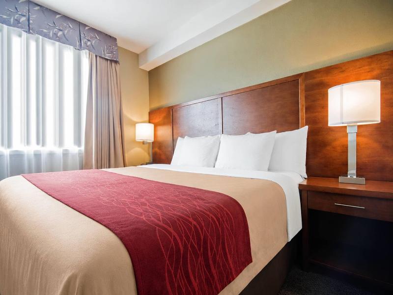 Comfort Inn & Suites Langley image