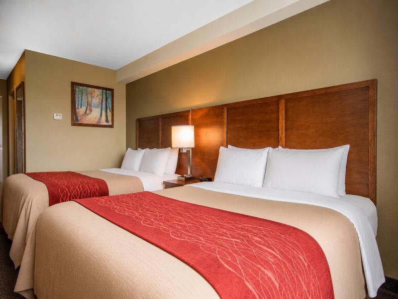 Comfort Inn & Suites Langley image