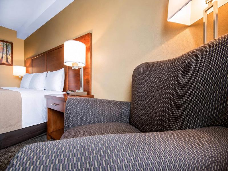 Comfort Inn & Suites Langley image