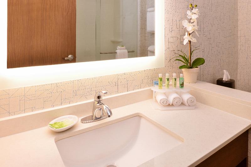 Holiday Inn Express & Suites Salem image
