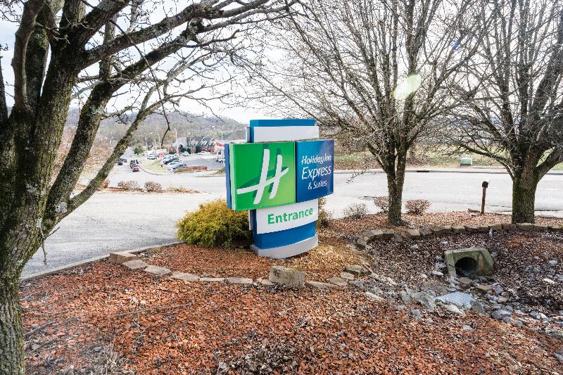 Holiday Inn Express and Suites Knoxville North I 7 image