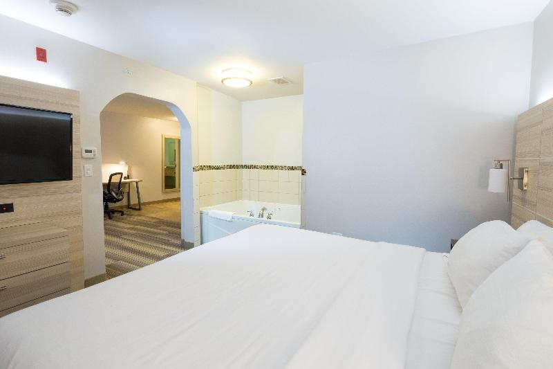 Holiday Inn Express & Suites Detroit - Utica IHG photo 18