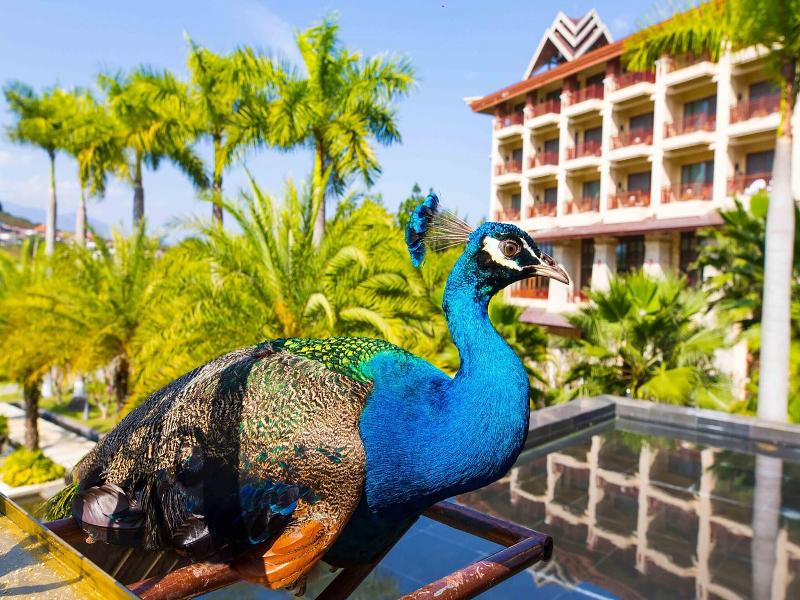 Sheraton Grand Xishuangbanna Hotel image