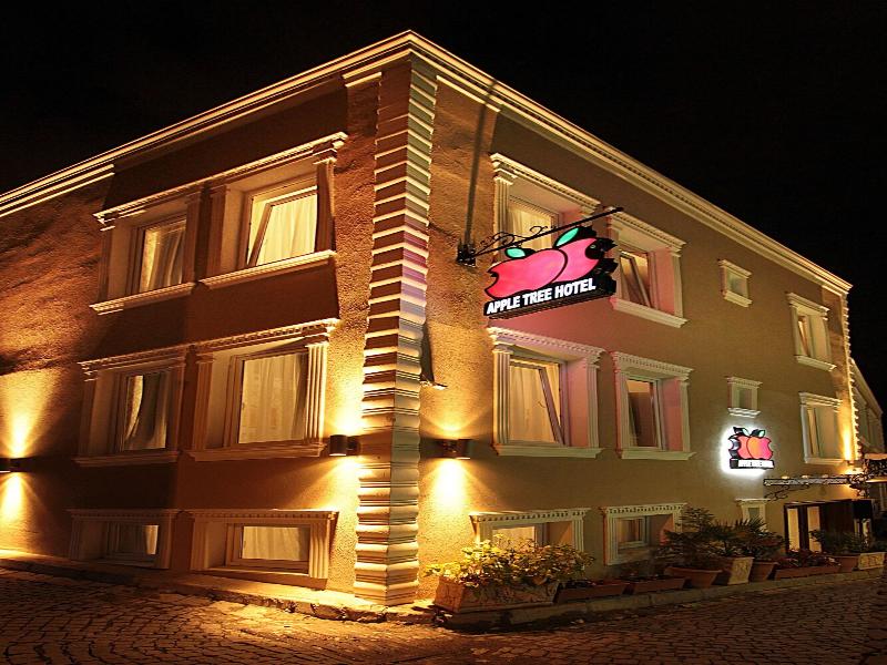 Apple Tree Hotel image