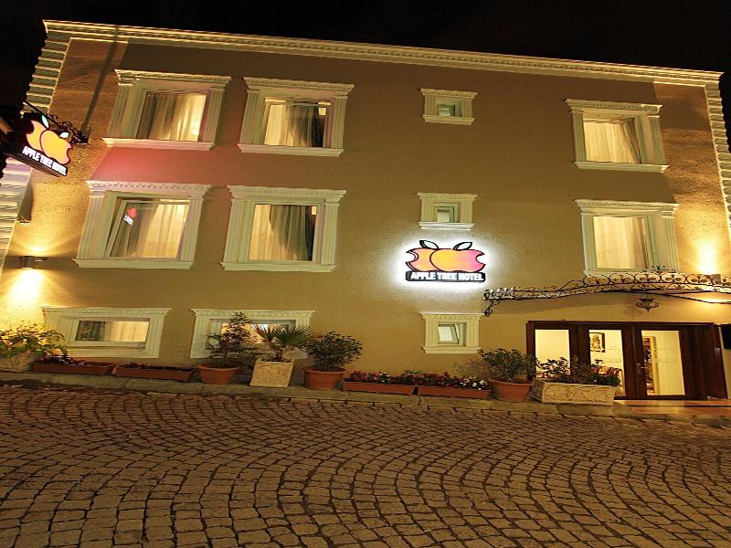 Apple Tree Hotel image