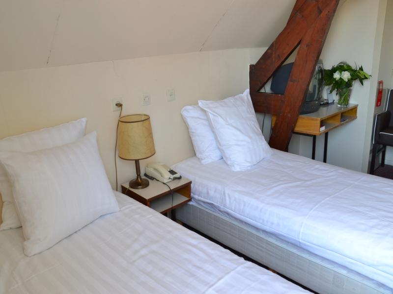 Fletcher Hotel-Restaurant De Zalm image