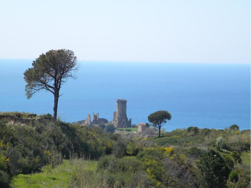 Hotel Bacco image