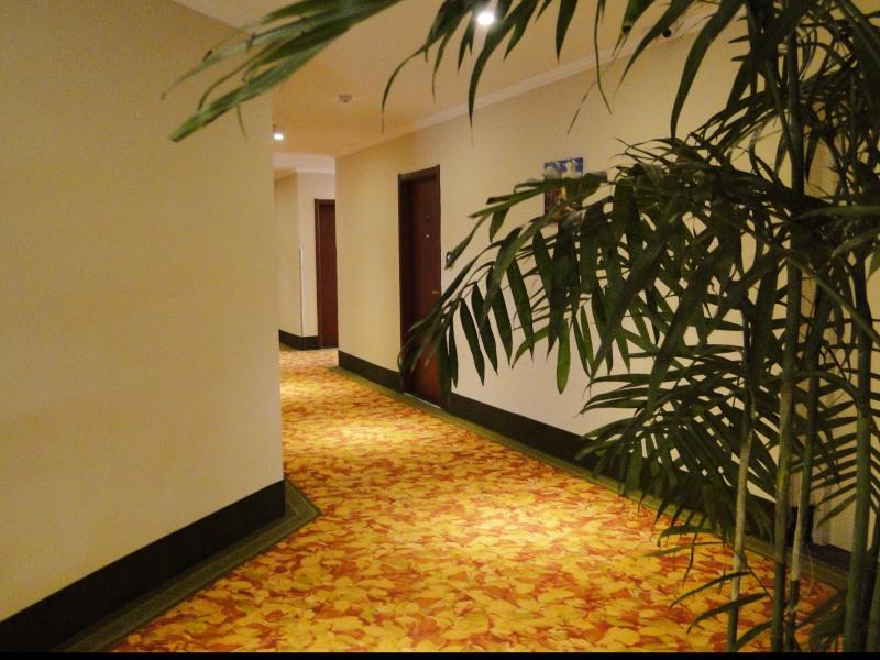 GreenTree Inn FuYang Commercial Building Express H