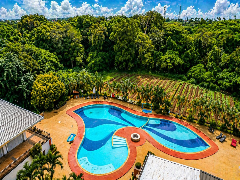 Forest Crest Nature Hotel and Resort  image