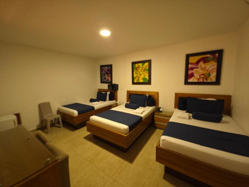 Hotel Monarca image