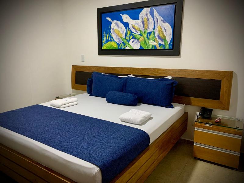 Hotel Monarca image