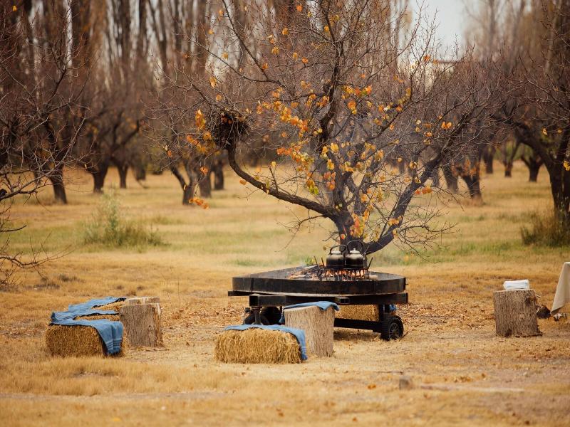 Algodon Wine Estates Resort
