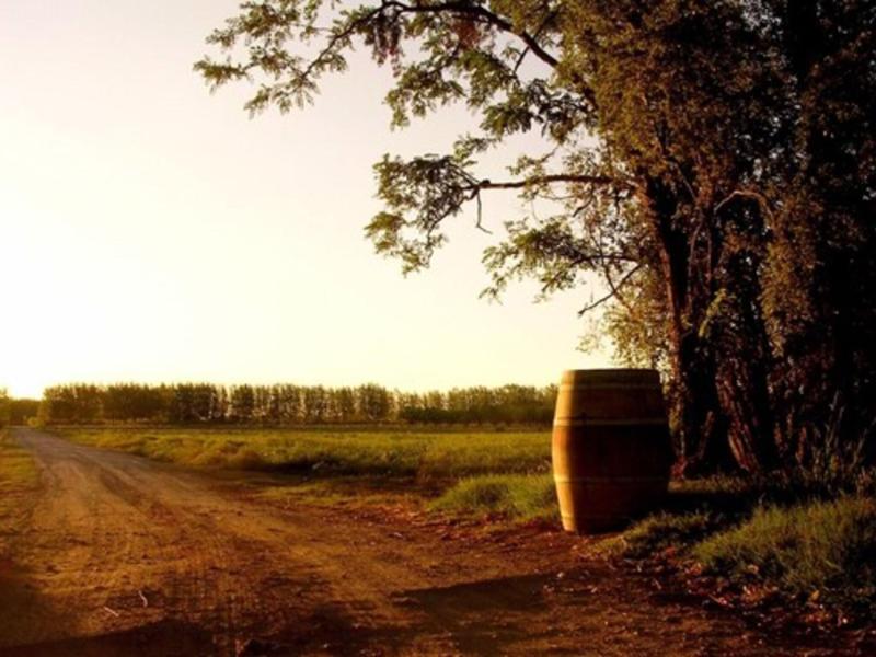 Algodon Wine Estates Resort