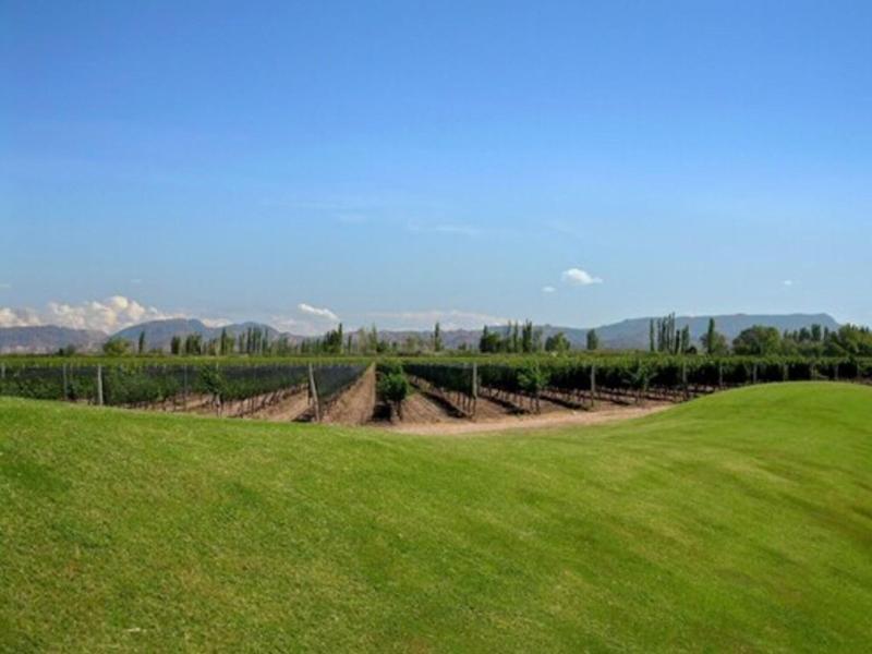 Algodon Wine Estates Resort