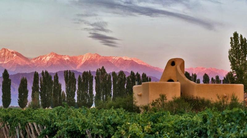 Cavas Wine Lodge — photo 4