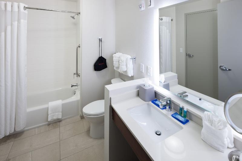 Holiday Inn Express & Suites Orlando at Seaworld image