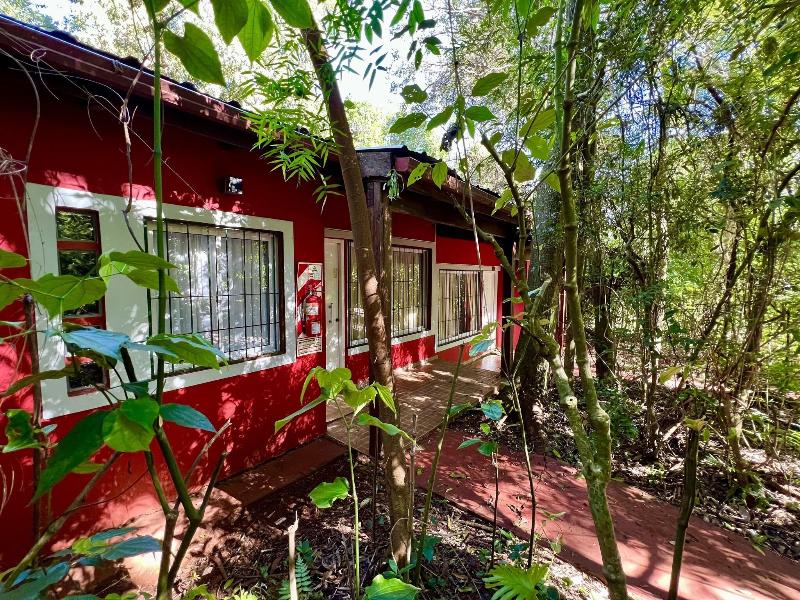 Rainforest Selva Hotel image