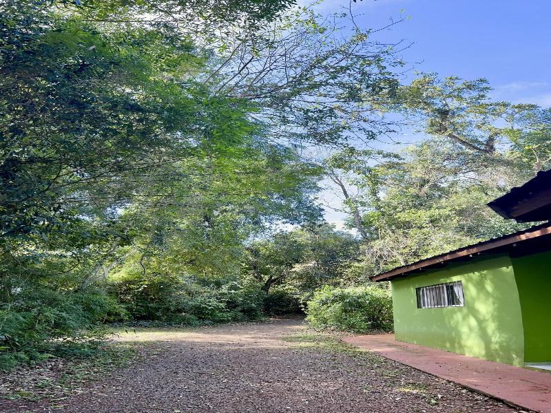 Rainforest Selva Hotel image
