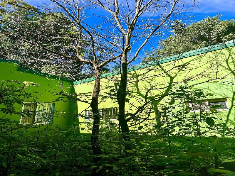 Rainforest Selva Hotel image