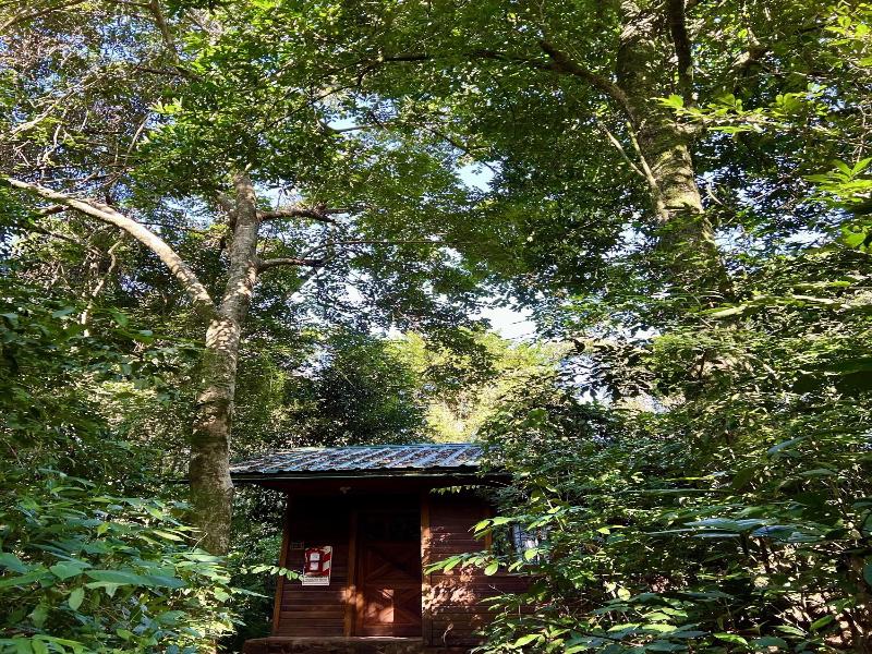 Rainforest Selva Hotel image
