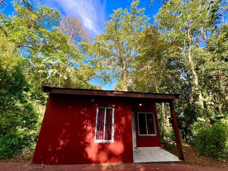 Rainforest Selva Hotel image