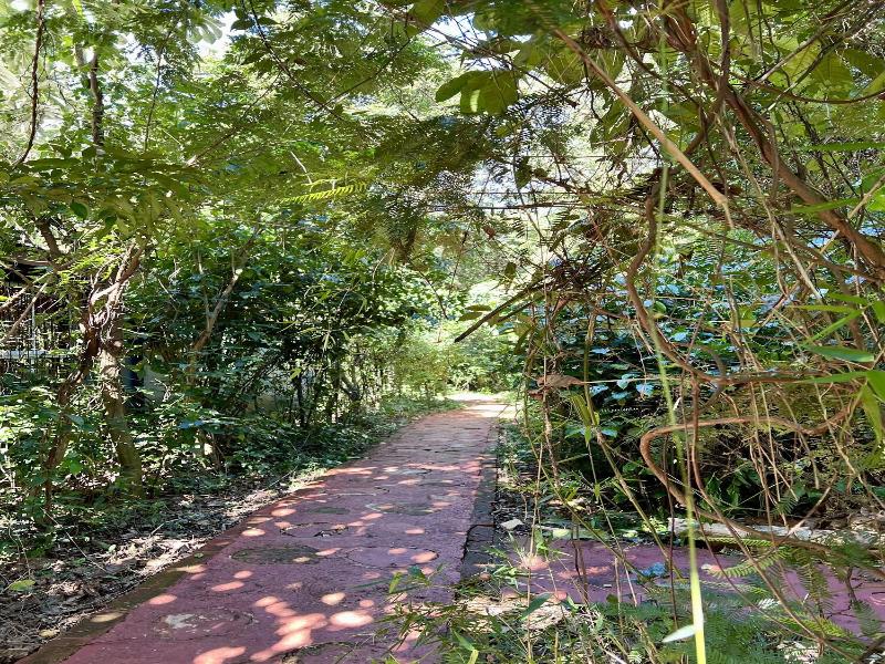 Rainforest Selva Hotel image