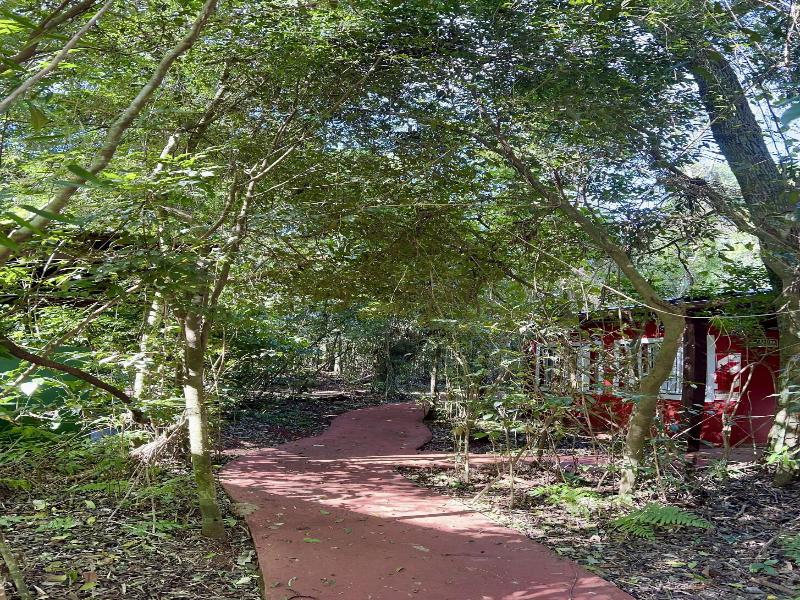 Rainforest Selva Hotel image