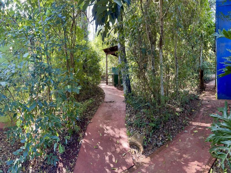Rainforest Selva Hotel image