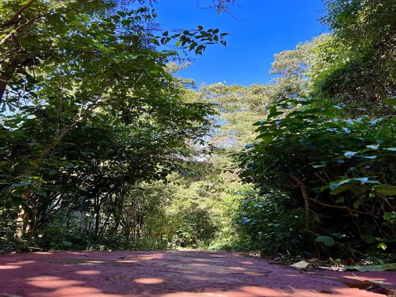 Rainforest Selva Hotel image