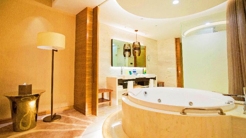 Holiday Inn Nanjing Xuanwu Lake image