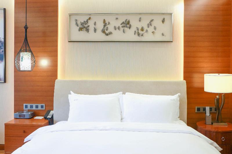 Holiday Inn Nanjing Xuanwu Lake image