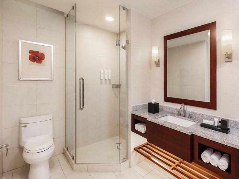 Guyana Marriott Hotel Georgetown image