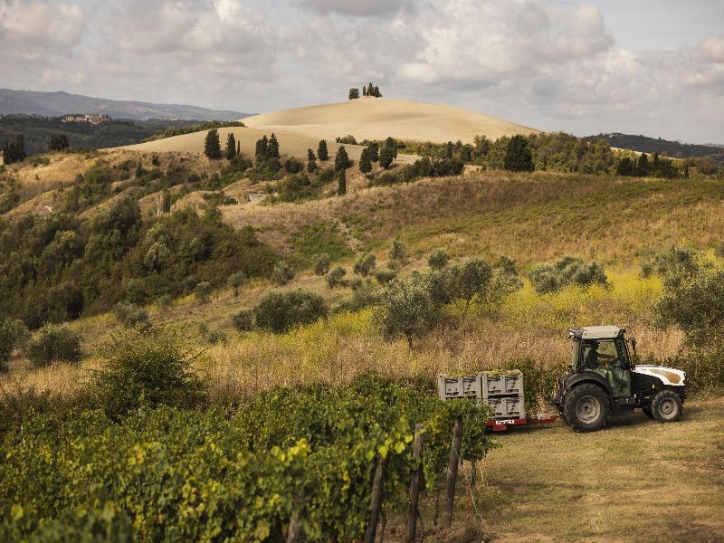 Castelfalfi image