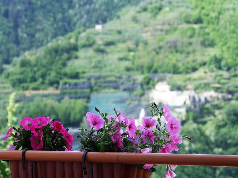 Tra I Monti Hotel image