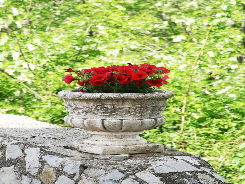 Tra I Monti Hotel image
