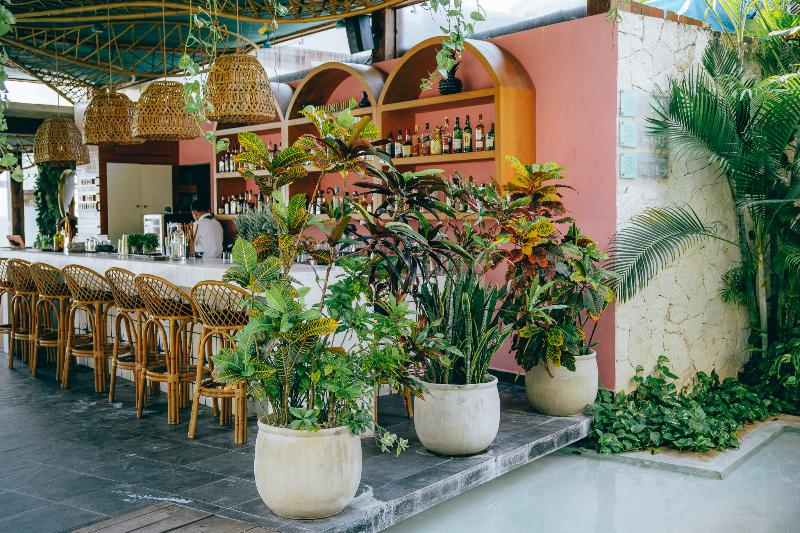 Mi Amor – Adults Only – Colibri Boutique Hotels