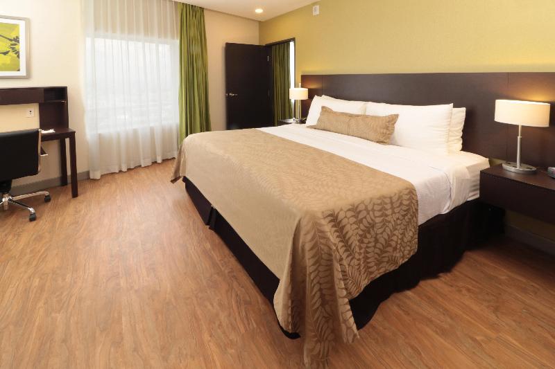 Staybridge Suites San Luis Potosi photo 19