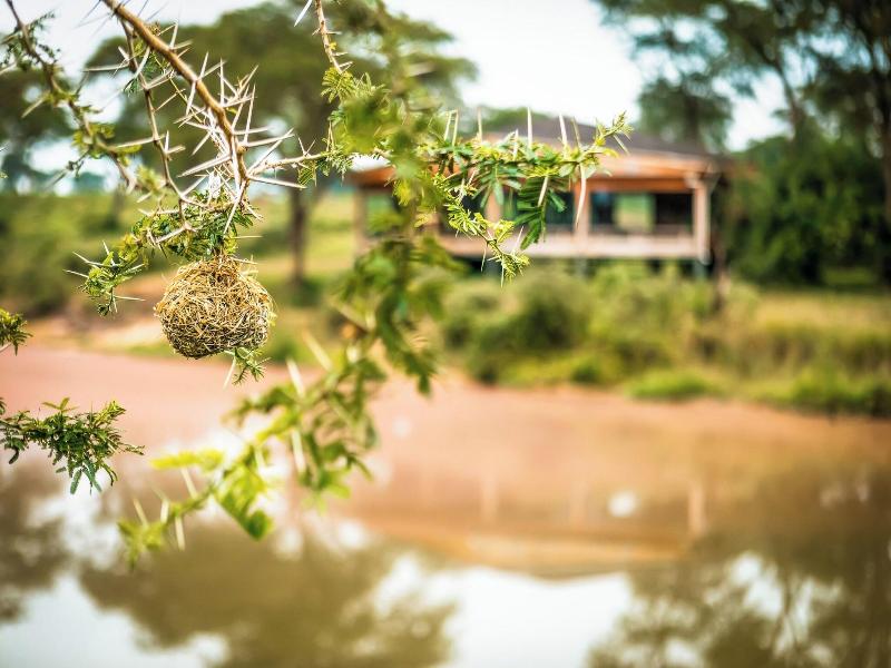 Chobe Safari Lodge