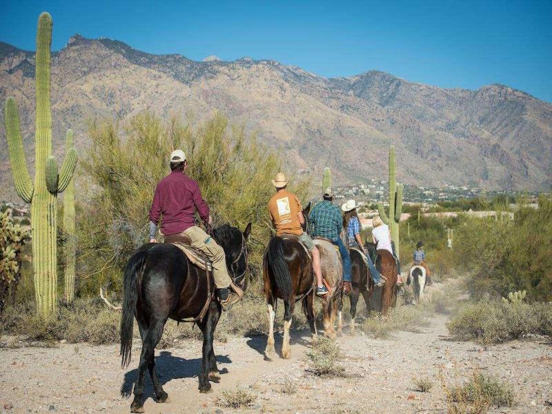 Hacienda del Sol Guest Ranch Resort image