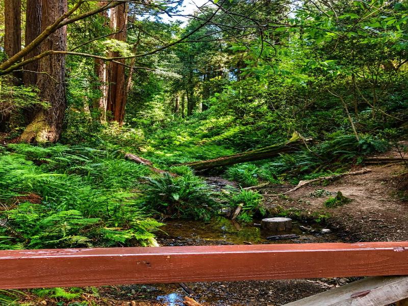 Seabird Lodge Fort Bragg By Magnuson Worldwide