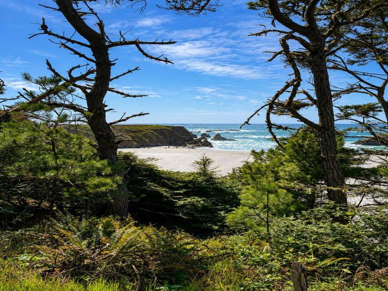 Seabird Lodge Fort Bragg By Magnuson Worldwide