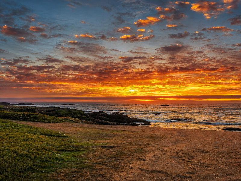 Seabird Lodge Fort Bragg By Magnuson Worldwide