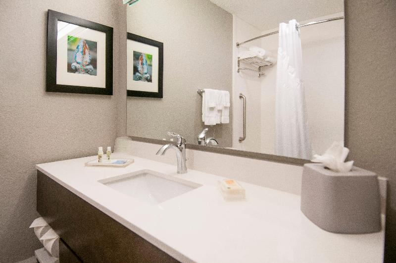Holiday Inn New Orleans Airport North photo 17