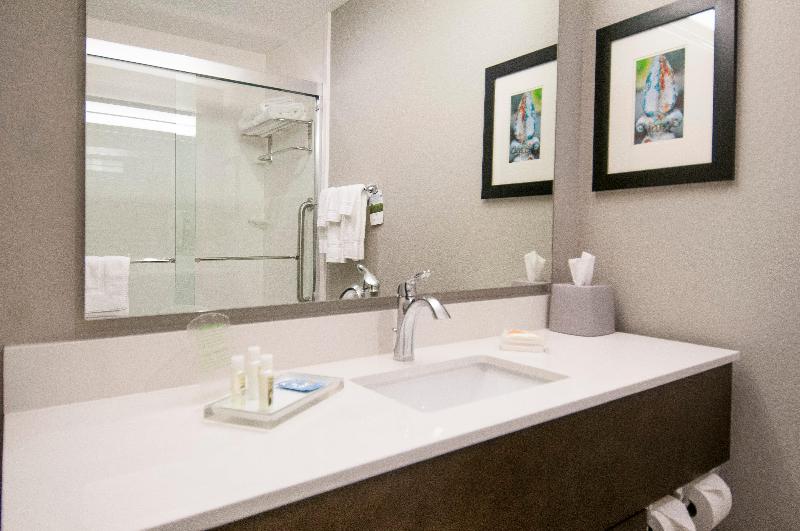 Holiday Inn New Orleans Airport North photo 21